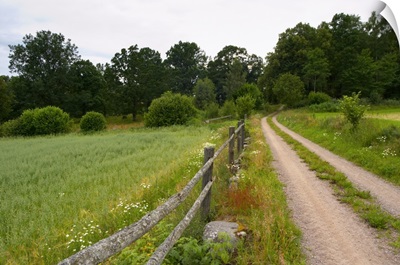 Country Road, Wooden Fence And Field. Through The Forest. Sweden
