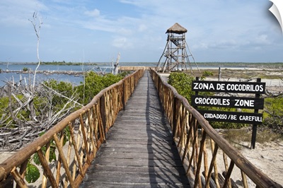 Crocodile lagoon in Punta Sur Park, Cozumel Island, Cozumel, Mexico