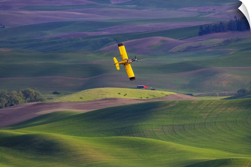 Crop duster applying chemicals on wheat fields from Steptoe Butte near Colfax, Washington State, USA.