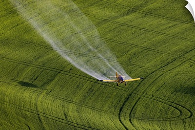 Crop Duster Applying Chemicals On Wheat Fields Near Colfax, Washington State, USA