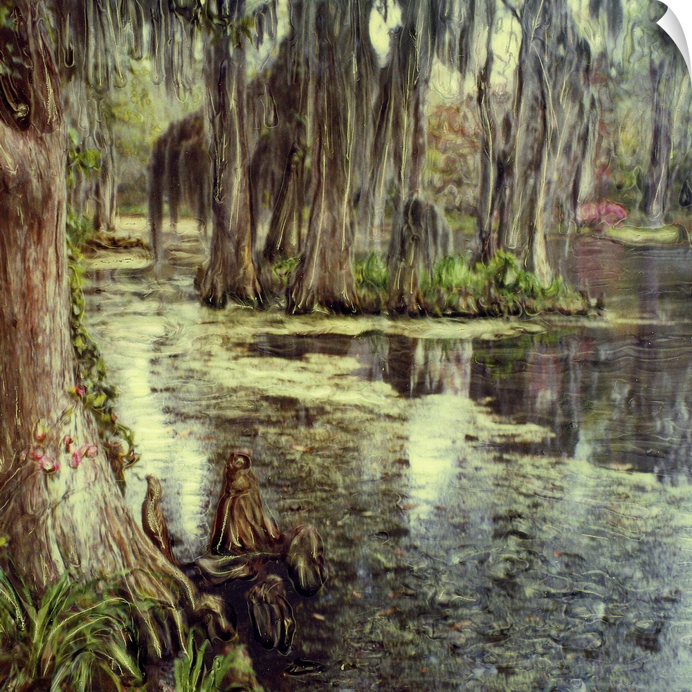 USA, South Carolina, Charleston, Magnolia Plantation and Gardens. Cypress trees reflected in water.