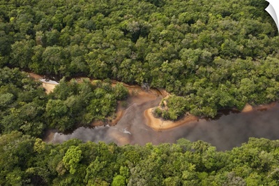 Essequibo River, Iwokrama Reserve, Guyana