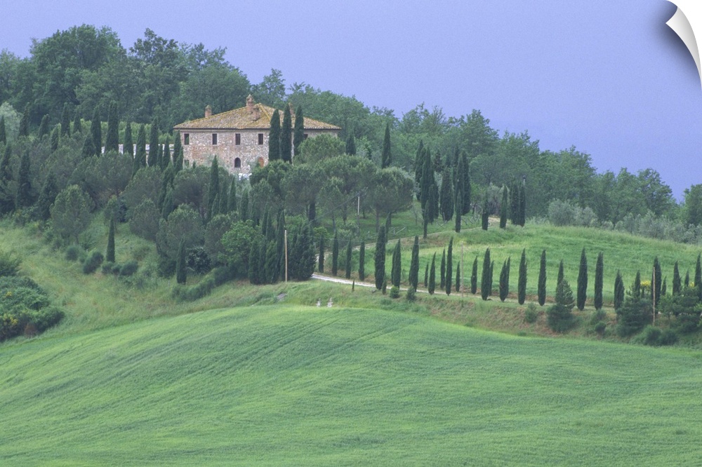 Europe, Italy, Tuscany.  Villa on tree lined hillside in Tuscany.