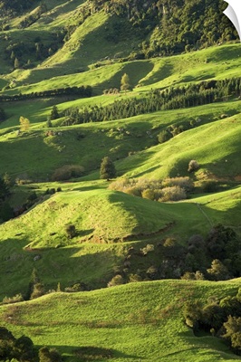 Farmland near Te Kuiti, King Country, North Island, New Zealand