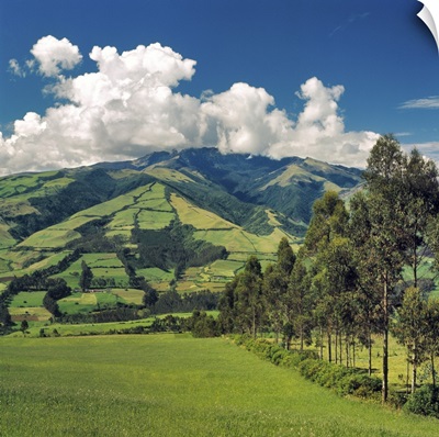 Fertile fields dot the hillsides in the Central Highlands near Otavalo, Ecuador