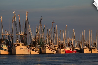 Florida, Darien, Shrimp boats docked at Darien Georgia