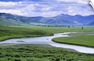 Fly fishing in the Lamar River in Yellowstone National Park
