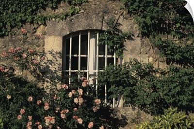 France, Provence, Vaucluse, Manerbes, Peter Mayle Country, Window and Flowers