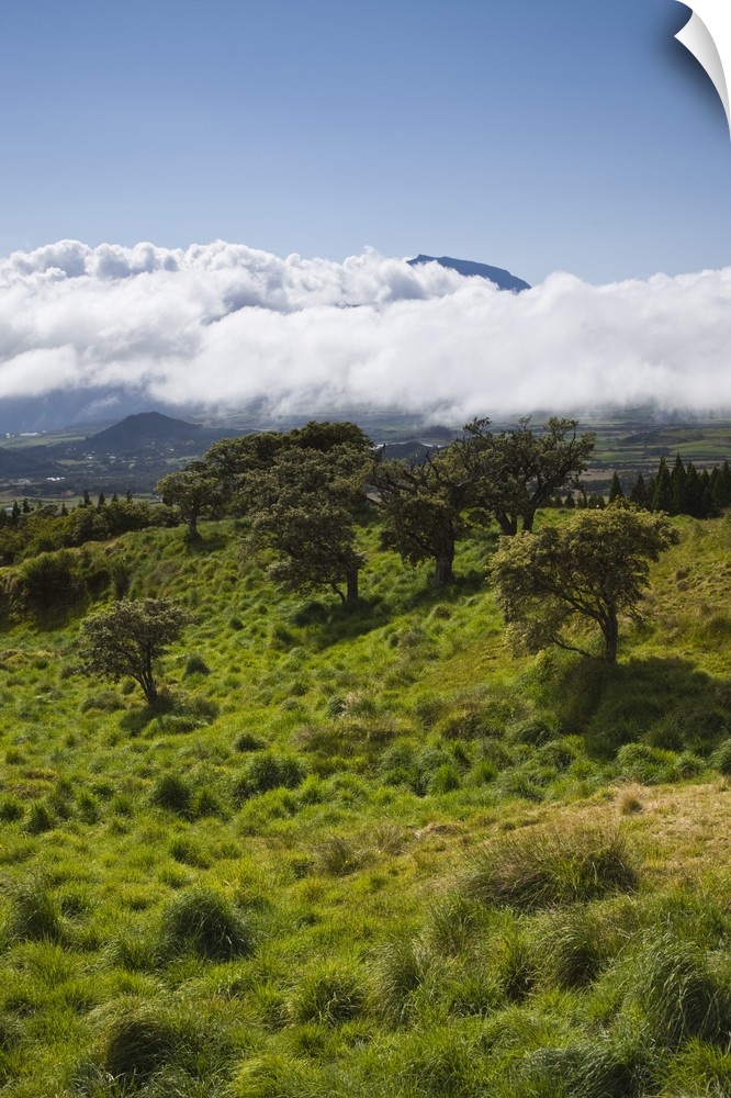 France, Reunion Island, Bourg Murat, Plaine-des-Cafres, landscape on the RF5 towards the Piton de la Fournaise Volcano