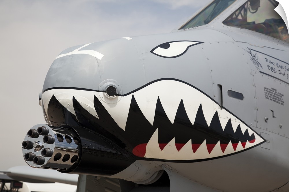 USA,  Indiana, Indianapolis, Mount Comfort Airport. Front of an A-10 Thunderbolt II warplane painted with a shark face.