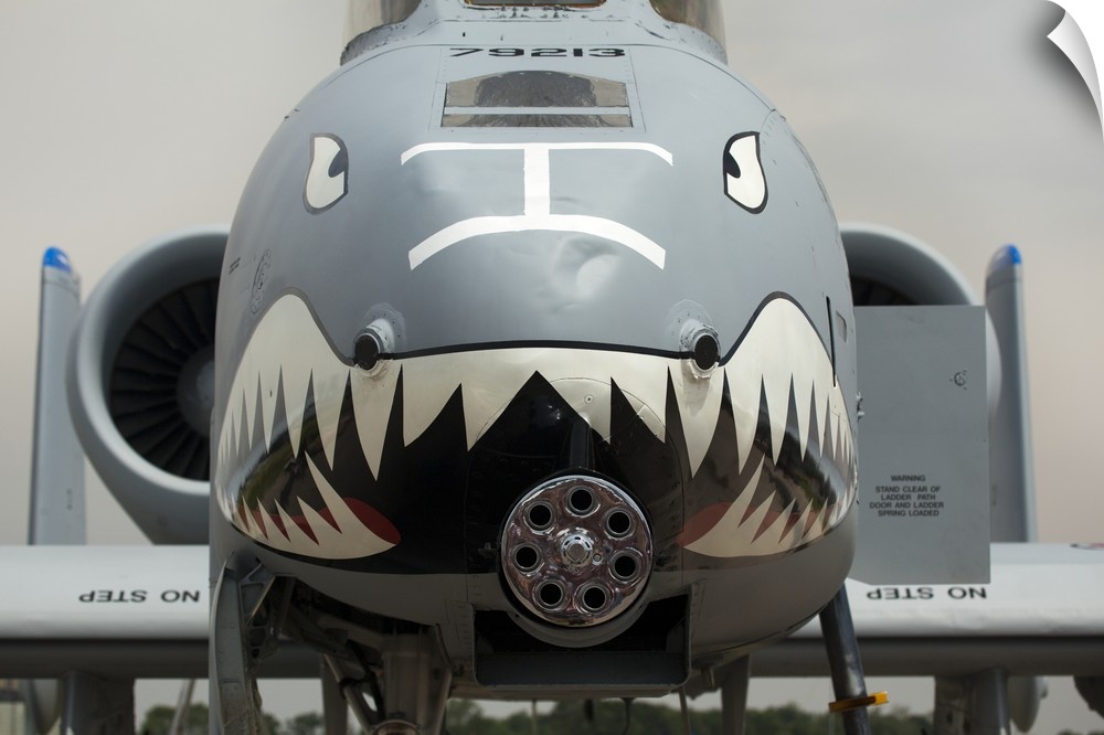 USA,  Indiana, Indianapolis, Mount Comfort Airport. Front of an A-10 Thunderbolt II warplane painted with a shark face.