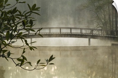 Georgia, Callaway Gardens, Pond in fog with bridge