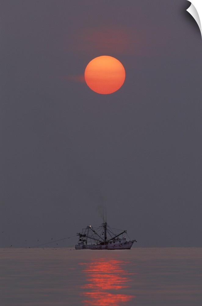 USA, North America, Georgia, Tybee Island. A shrimp boat trawling for shrimp at sunrise.