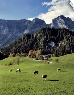Germany, Ramsau, Chalets offer accommodation and a beautiful view