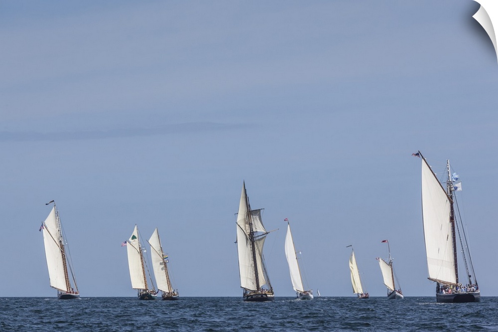 USA, Massachusetts, Cape Ann, Gloucester. Gloucester Schooner Festival, schooner parade of sail.