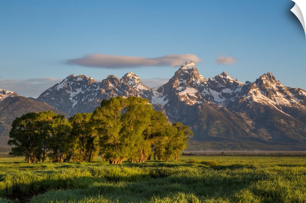 USA, Wyoming, Grand Teton National Park, a small cloud hits the top of the Grand Teton in the springtime.