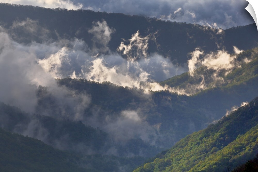 Clouds in Oconaluftee Valley at sunrise, Great Smoky Mountains National Park, North Carolina