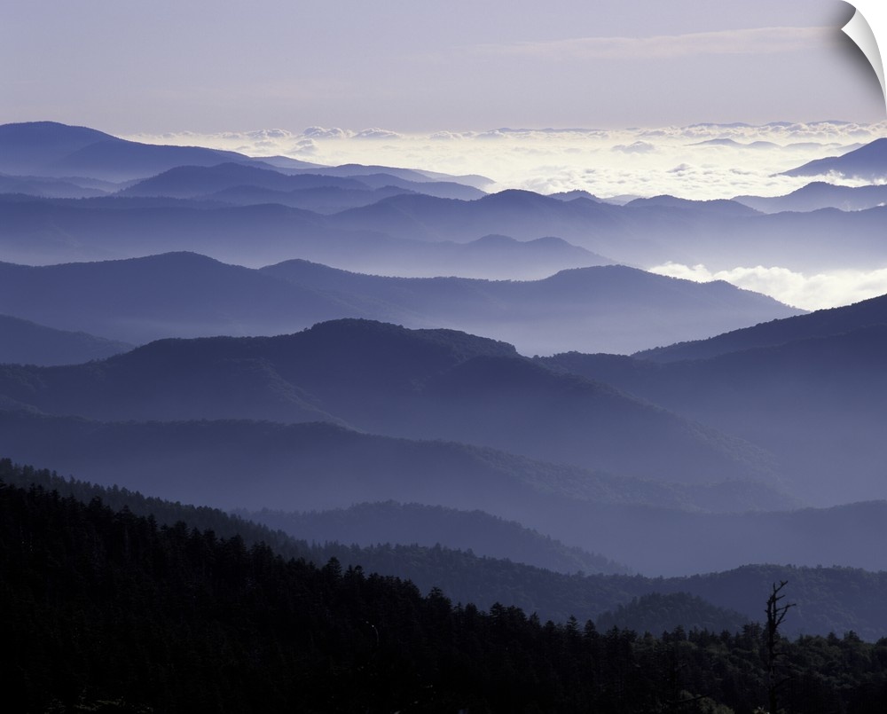 Tennessee, Great Smoky Mountains National Park, Southern Appalachian Mountains at dawn.