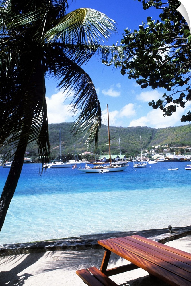 Harbor, palms, blue water at Port Elizabeth in Bequia, Grenadines.