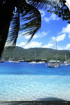 Harbor, palms, blue water at Port Elizabeth in Bequia, Grenadines