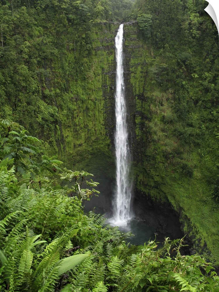 USA, Hawaii, Hilo. View of Akaka Falls.