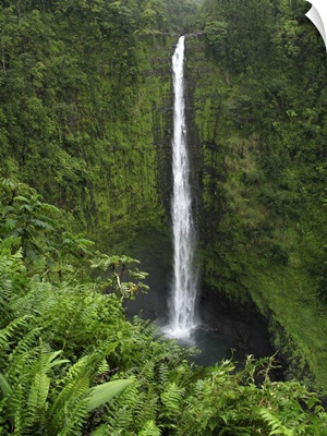 Hawaii, Hilo. View of Akaka Falls