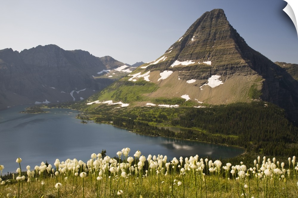 MT, Glacier National Park, Logan Pass, Hidden Lake and Bearhat Mountain with beargrass