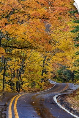 Highway 41 Covered Roadway In Autumn Near Copper Harbor In Michigan, USA