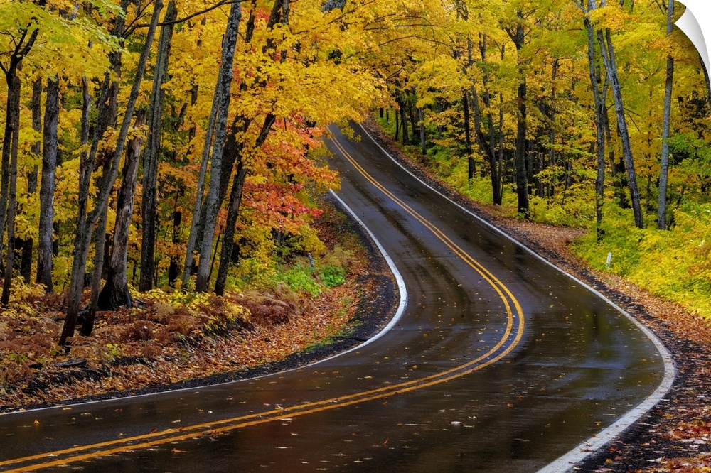 USA, North America, Michigan. Highway 41 Covered Roadway In Autumn Near Copper Harbor In The Upper Peninsula Of Michigan.