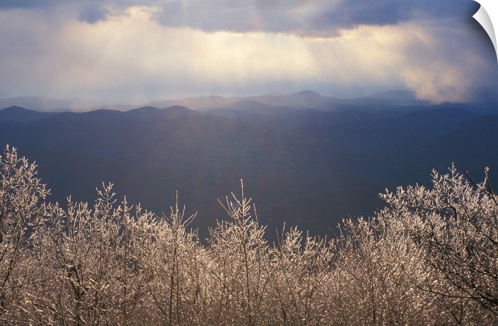 Chattahoochee N.F., Georgia. Ice coats the trees on Springer Mountain in early spring. Georgia's Blue Ridge Mountains are ...