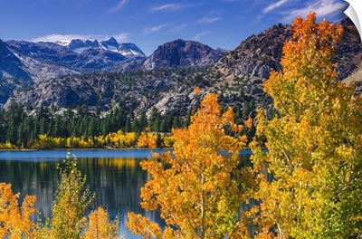 Inyo National Forest, Sierra Nevada Mountains, California
