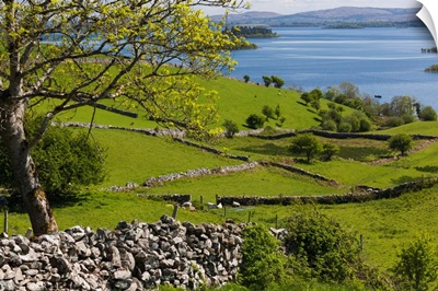 Ireland, County Galway, Cong, Elevated Springtime Landscape
