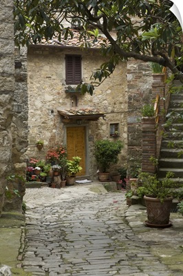 Italy, Tuscany. Quaint village lane in Montefiorale