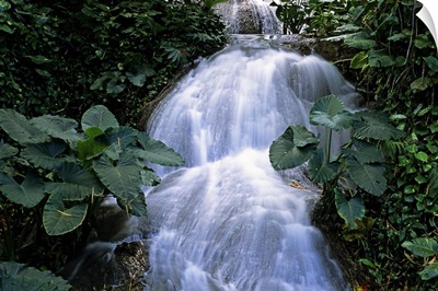 Jamaica, Ocho Rios, Shaw waterfalls