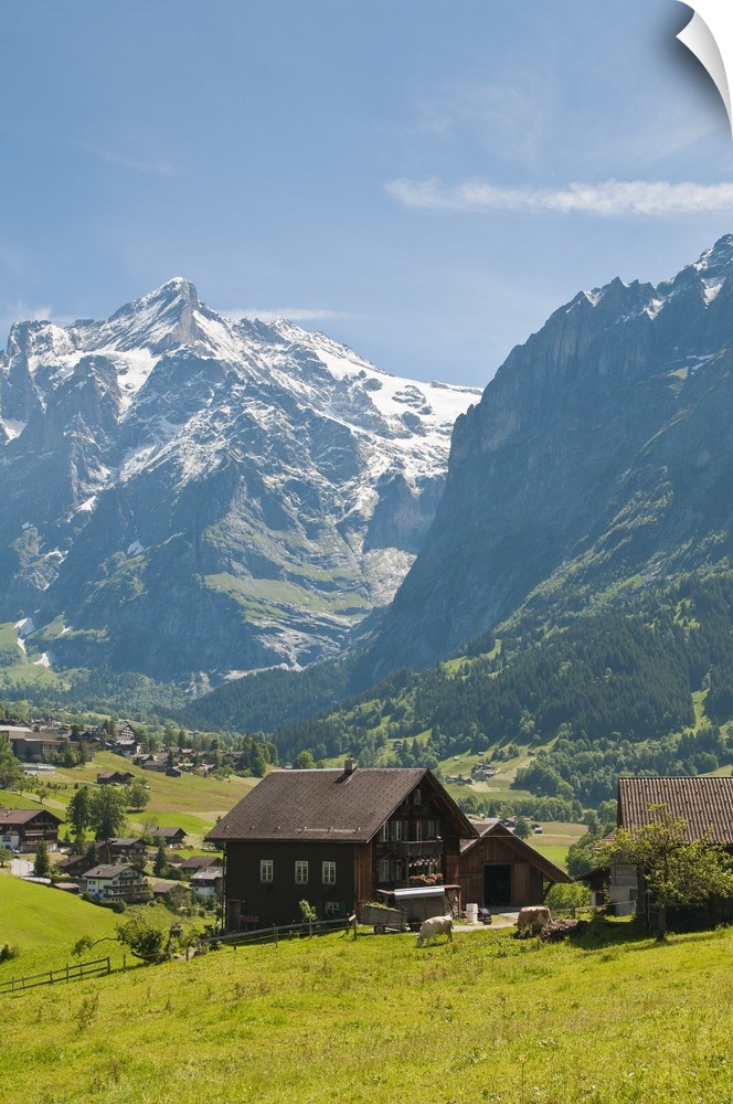 Jungfrau Region, Switzerland.  Grindelwald Valley below the Wetterhorn.