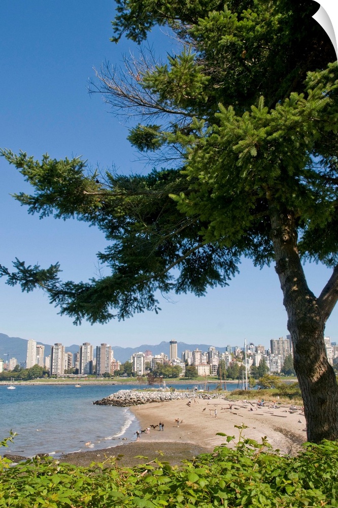 Kitsilano Beach park overlooking English Bay and the skyline of downtown Vancouver, BC, Canada.