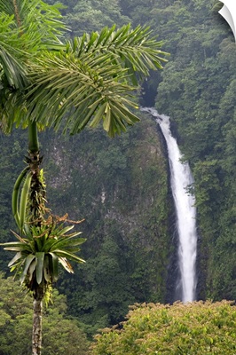 La Fortuna Waterfall in the Arenal Volcano National Park, San Carlos, Costa Rica