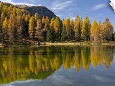 Lago San Pellegrino In Fall At Passo San Pellegrino In The Dolomites, Italy