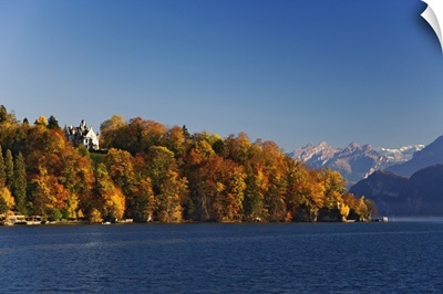 Lake Lucerne And Autumn Colors, Lucerne, Switzerland