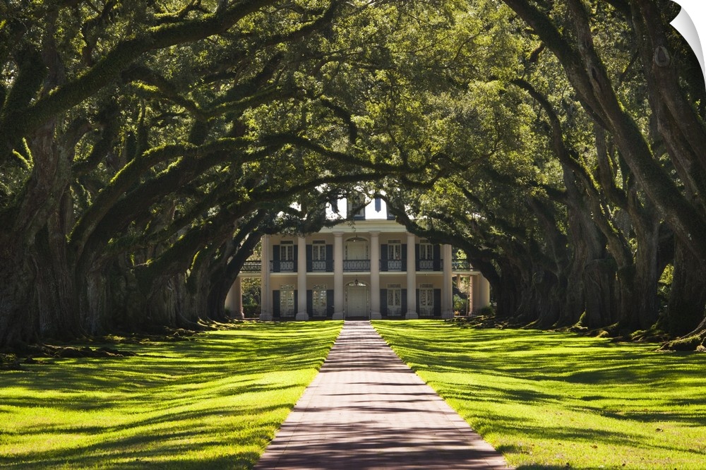 USA, Louisiana, Vacherie. Oak Alley Plantation, antibellum mansion.