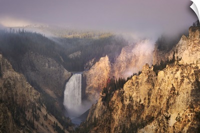 Lower Falls At Sunrise From Artist Point, Yellowstone National Park, Wyoming