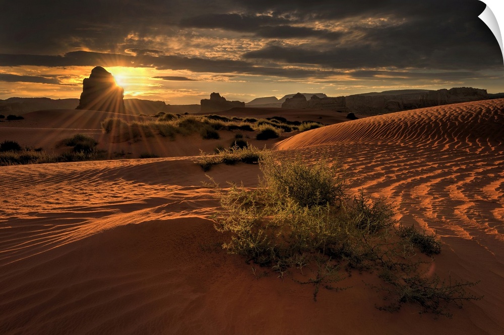 Lukashenka desert sand dunes in northern Arizona.