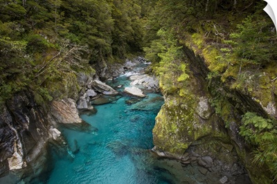 Makarora, New Zealand, The Blue Pools Of Makarora Offer Enticing Blue Waters To Swim In