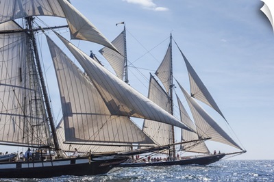 Massachusetts, Cape Ann, Gloucester Schooner Festival, Schooner Parade Of Sail