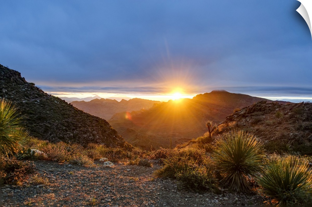 Mexico, Baja California Sur, Sierra de San Francisco. Desert sunrise from a mountain pass.
