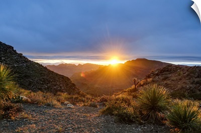 Mexico, Baja California Sur, Sierra De San Francisco, Desert Sunrise From A Mountain