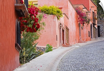 Mexico, Guanajuato state, San Miguel de Allende, colorful neighborhood