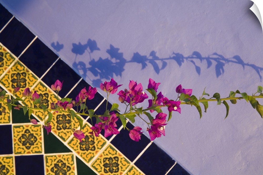 North America, Mexico, Yucatan, Merida. Tiled wall near the pool at the Hotel MedioMundo in the town of Merida.