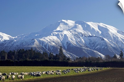 Mount Hutt, Mid Canterbury, South Island, New Zealand