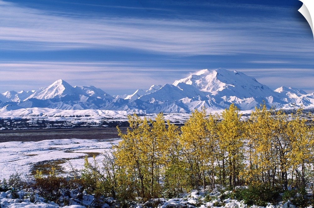 The end of the summer at Mt. Denali. The first snow fall of the season in the first week of September at Denali National P...